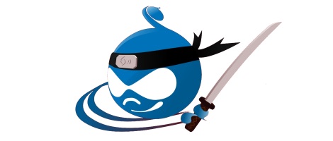 Ninja Druplicon