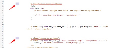 Footer code in WordPress