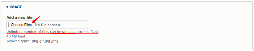 choose files in Drupal