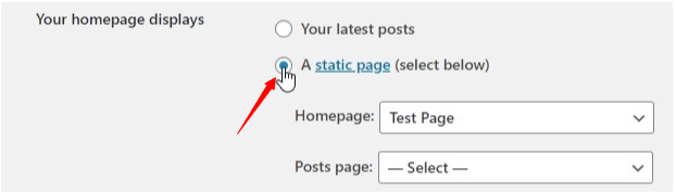 homepage display settings