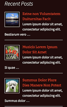 posts in the sidebar