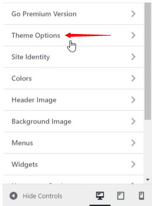 theme options